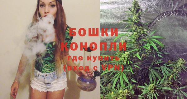 сатива Балахна