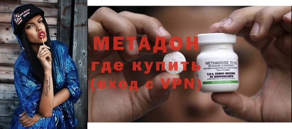 сатива Балахна