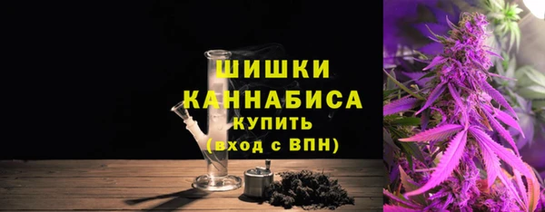 сатива Балахна