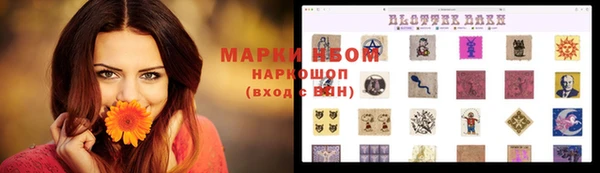 ПСИЛОЦИБИНОВЫЕ ГРИБЫ Баксан