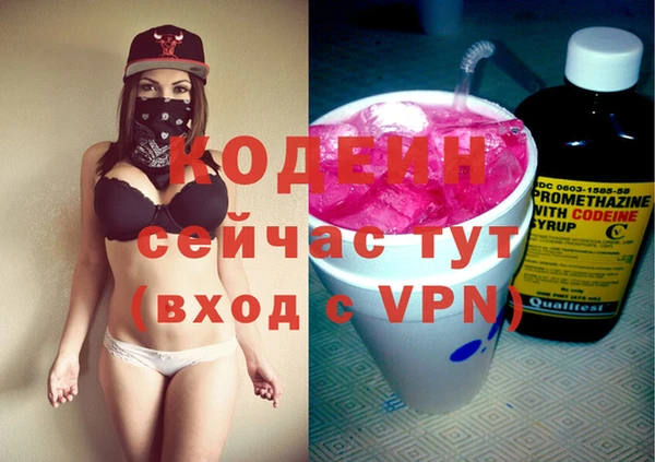 сатива Балахна