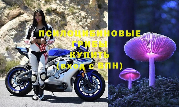 ГАЛЛЮЦИНОГЕННЫЕ ГРИБЫ Армянск