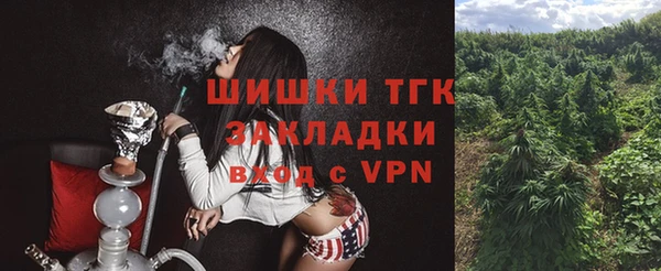 сатива Балахна