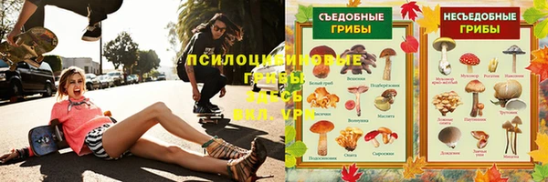 сатива Балахна