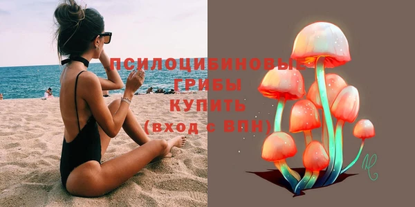 сатива Балахна