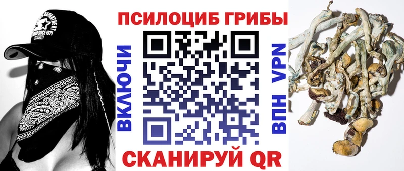KRAKEN рабочий сайт  Струнино  Галлюциногенные грибы прущие грибы 